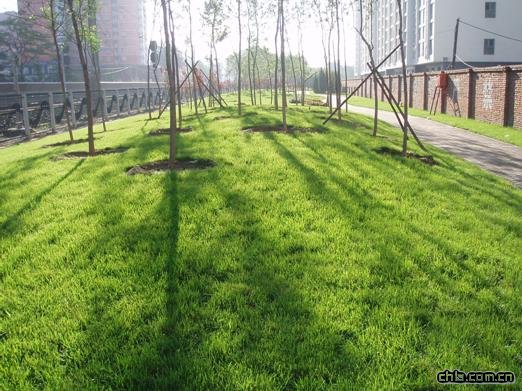 ��������վ�|�^��G�ع���һ��