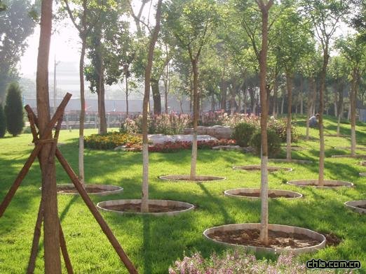 ��������վ�|�^��G�ع���һ��