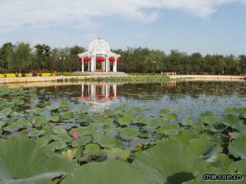 ���׺�ɭ�ֹ��@�����C�V������