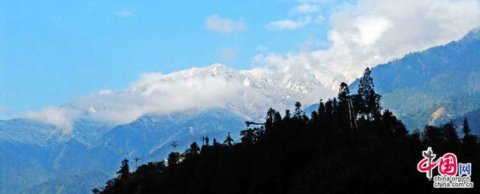 �봨�������f