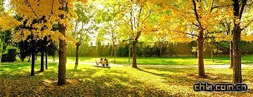 ���^������(qi��ng)�{(di��o)���B(t��i)��(y��u)���D(zhu��n)׃