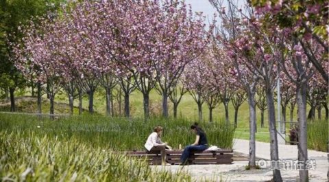 ����ɽ���ǲ頖˹�D���@�OӋ