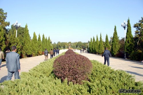 ������ʾ�(�M�D)