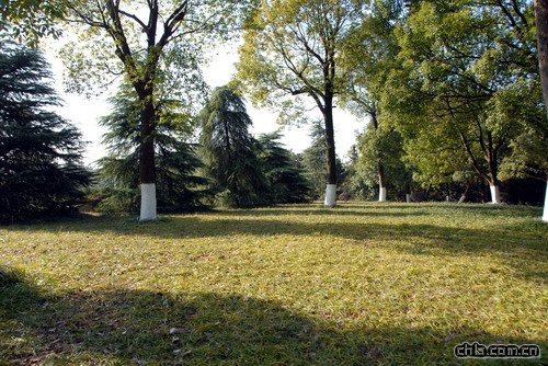 ������ʾ�