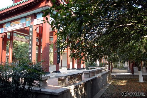 ������ʾ�(�M�D)