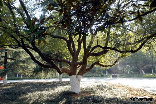 ������ʾ�(�M�D)