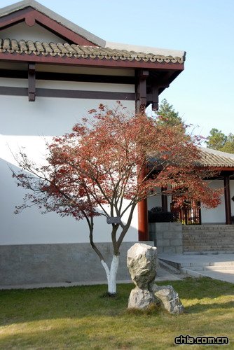 ������ʾ�(�M�D)