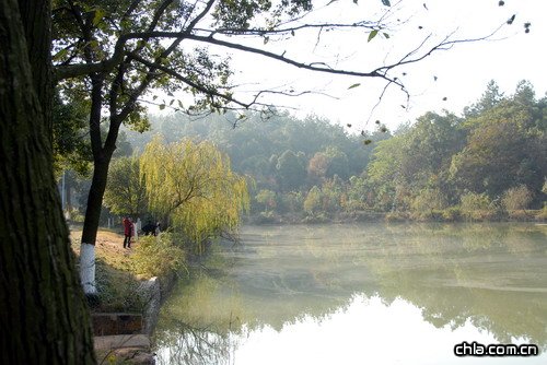 ������ʾ�(�M�D)