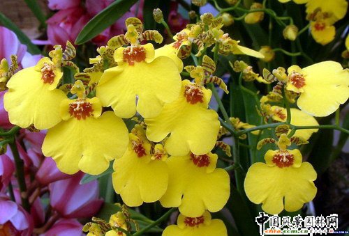 �����m(�D)