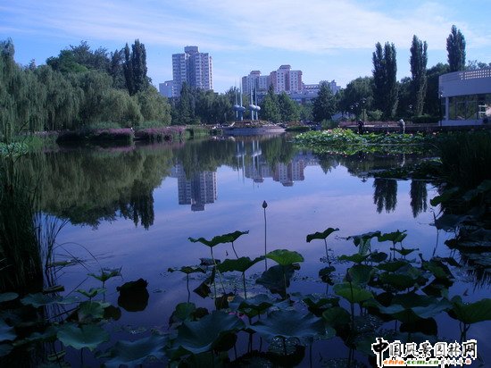 2008���(hu��)��(y��u)�|(zh��)����֮�˶������@���칤��(�M�D)