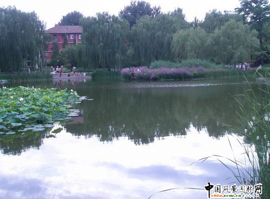 2008������|����֮�˶������@���칤��(�M�D)