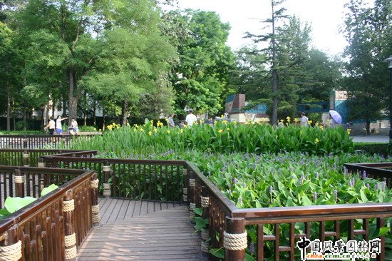 2008������|����֮�˶������@���칤��(�M�D)