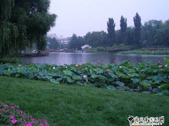 2008������|����֮�˶������@���칤��(�M�D)