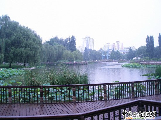 2008���(hu��)��(y��u)�|(zh��)����֮�˶������@���칤��(�M�D)