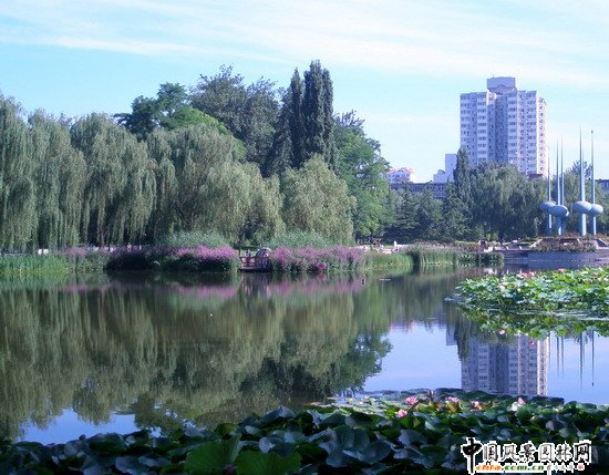 2008������|����֮�˶������@���칤��(�M�D)