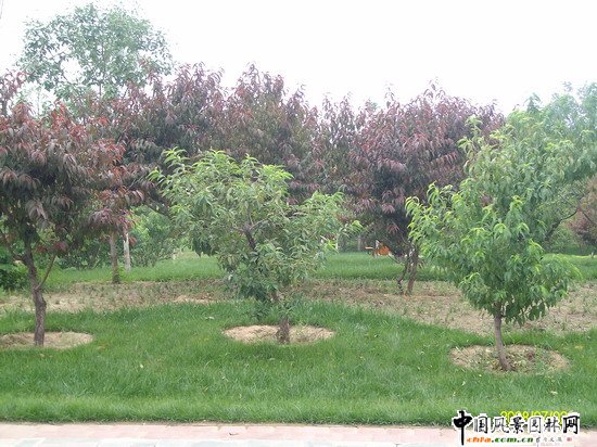 2008������|����֮�����г�ꖅ^�G�����x�؅^��Ұ���@�h���O����ʩ���Ř˶� ���I��Ұ���@һ��