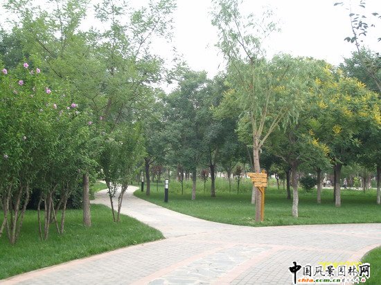 2008������|����֮�����г�ꖅ^�G�����x�؅^��Ұ���@�h���O����ʩ���Ř˶� ���I��Ұ���@һ��