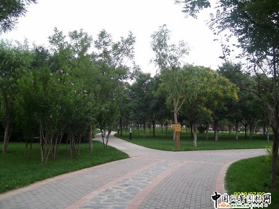 2008������|����֮�����г�ꖅ^�G�����x�؅^��Ұ���@�h���O����ʩ���Ř˶� ���I��Ұ���@һ��