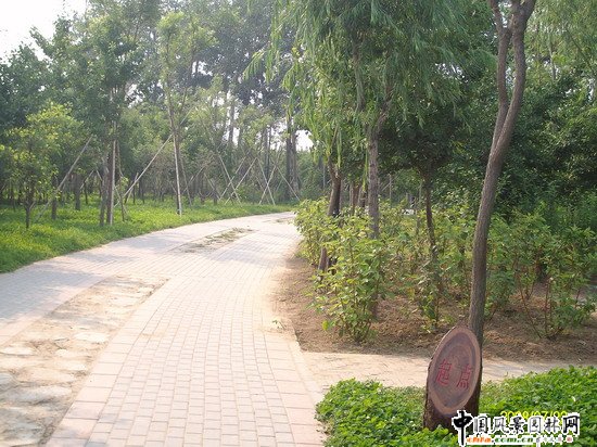 2008������|����֮�����г�ꖅ^�G�����x�؅^��Ұ���@�h���O����ʩ���Ř˶� ���I��Ұ���@һ��