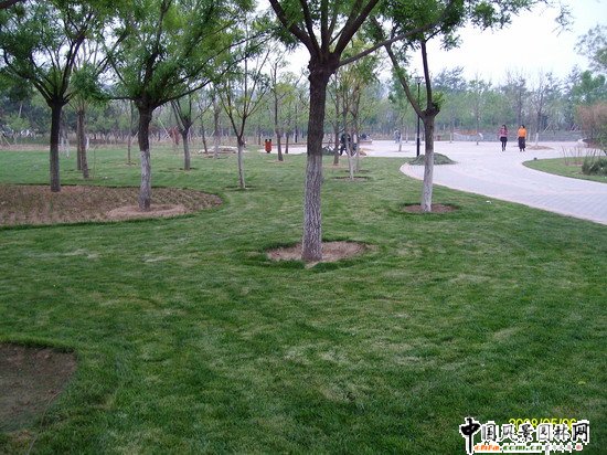 2008���(hu��)��(y��u)�|(zh��)����֮�����г�ꖅ^(q��)�G�����x�؅^(q��)��Ұ���@�h(hu��n)���O(sh��)����ʩ���Ř�(bi��o)�� ���I��Ұ���@һ��