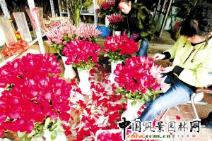 ����������(ji��)������������ ������ƴ���˹�(ji��)õ�彛(j��ng)��(j��)(�D)