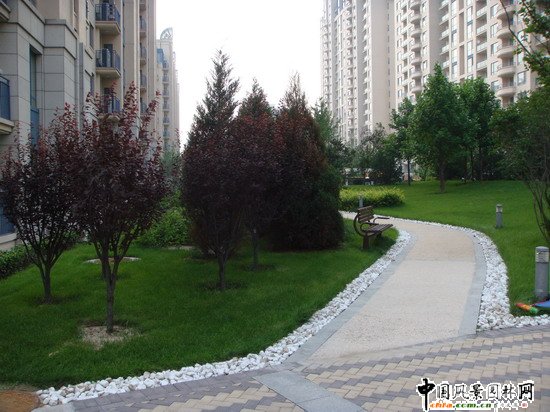 2008���(hu��)��(y��u)�|(zh��)����֮���ɇ��H�@H�^(q��)�@�־��^����