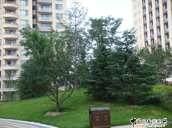 2008������|����֮���ɇ��H�@H�^�@�־��^����