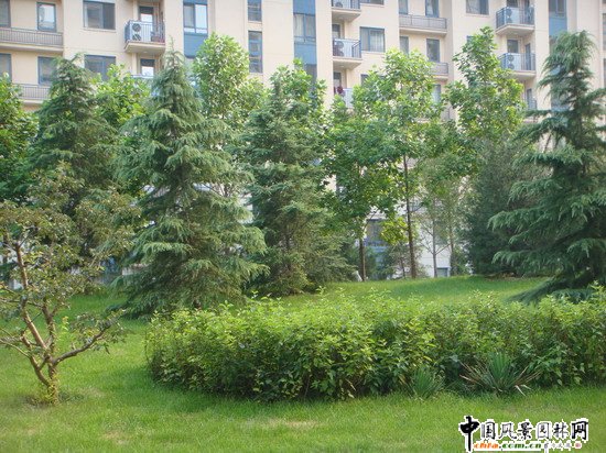 2008������|����֮���ɇ��H�@H�^�@�־��^����