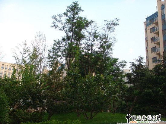 2008�����(y��u)�|(zh��)����֮���ɇ��H�@H�^(q��)�@�־��^����