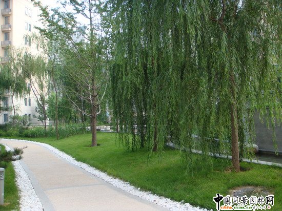 2008������|����֮���ɇ��H�@H�^�@�־��^����