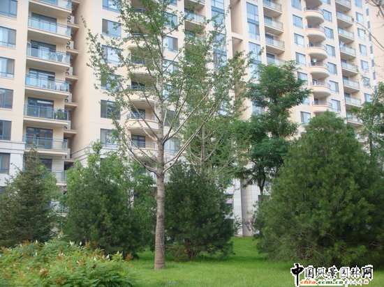 2008������|����֮���ɇ��H�@H�^�@�־��^����