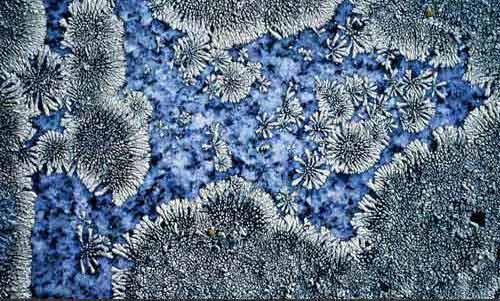 1���@�����L�ڼ~�s�����m��Champlain�����е�һ�K�����rĹ���ϵ�̦�\