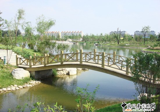 2008������|����֮���d�^�f�m����d����Ұ���@