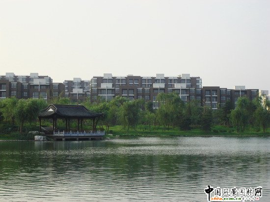 2008������|����֮���d�^�f�m����d����Ұ���@