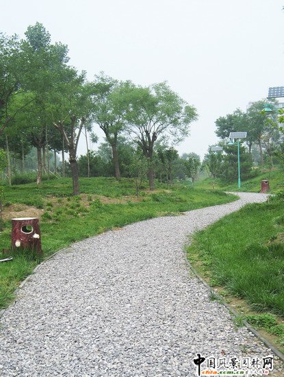 2008������|����֮���d�^�f�m����d����Ұ���@