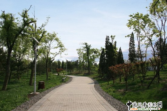 2008������|����֮���d�^�f�m����d����Ұ���@