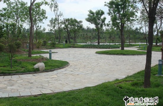 2008�����(y��u)�|(zh��)����֮���d�^(q��)�f�m�(zh��n)���d����Ұ���@