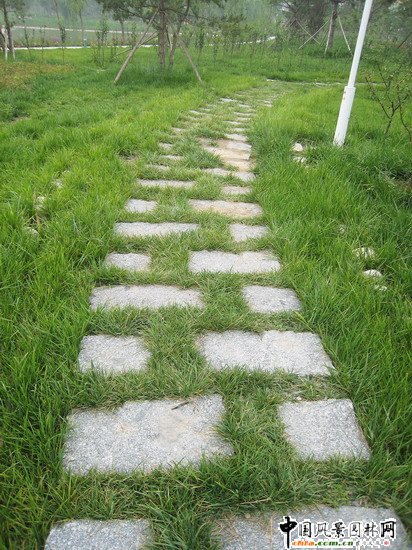 2008������|����֮���d�^�f�m����d����Ұ���@