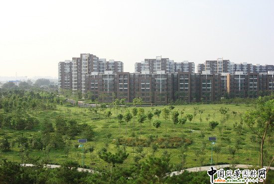 2008������|����֮���d�^�f�m����d����Ұ���@