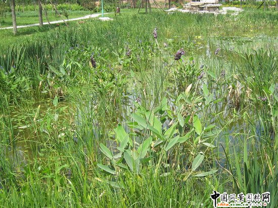 2008������|����֮���d�^�f�m����d����Ұ���@