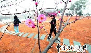 �Lɳ���B���޷��ݳ�¶(�M�D)