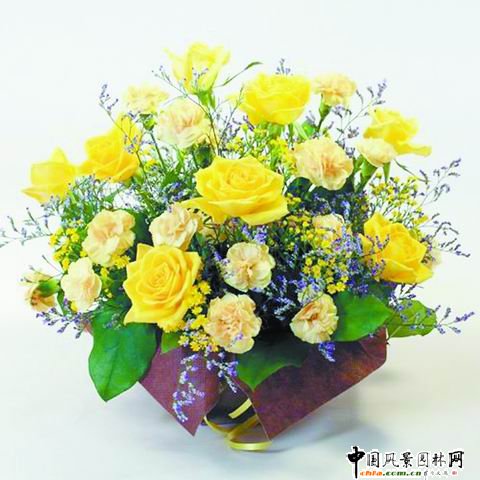 ���˹�(ji��)��ˇ���p(�M�D)