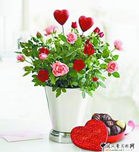 ���˹���ˇ���p(�M�D)