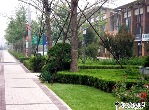 �����e���̘I�־��^�����̘I�ֵ�·