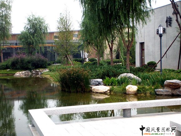 �����e���̘I�־��^�����˹����g��