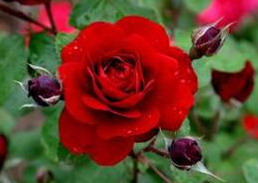 �¼�'����'