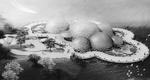 �c�����´��ڞg�[�DƬ