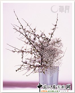 ���������ڲ廨��Ʒ���p(�M�D)