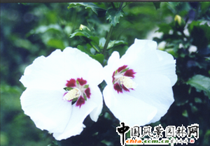 �Ϻ��@�ֿƌW�о��������Գɹ����