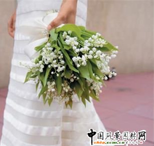 ��Y�廨�����������е���m